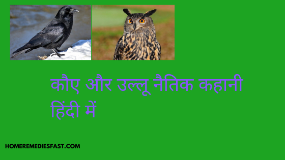 crow and owl moral story in hindi