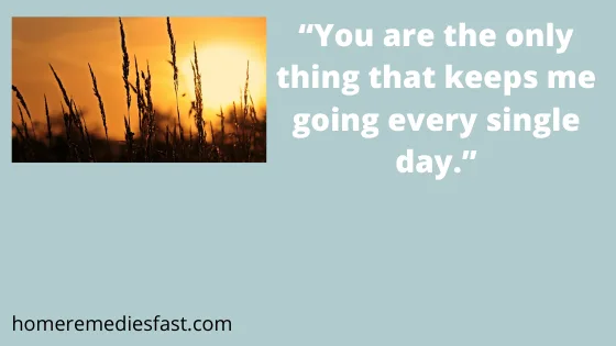 50 Best Most Beautiful Good Morning Quotes for Her 2024 free good morning messages