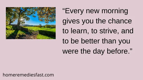 50 Best Most Beautiful Good Morning Quotes for Her 2024 good morning images with inspirational quotes
