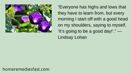 50 Best Most Beautiful Good Morning Quotes for Her 2024 good morning my love quotes