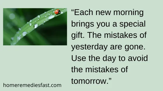 50 Best Most Beautiful Good Morning Quotes for Her 2024 good morning quotes 2020