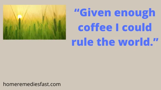50 Best Most Beautiful Good Morning Quotes for Her 2024 good morning text sms