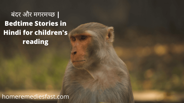 Bedtime Stories in Hindi for children