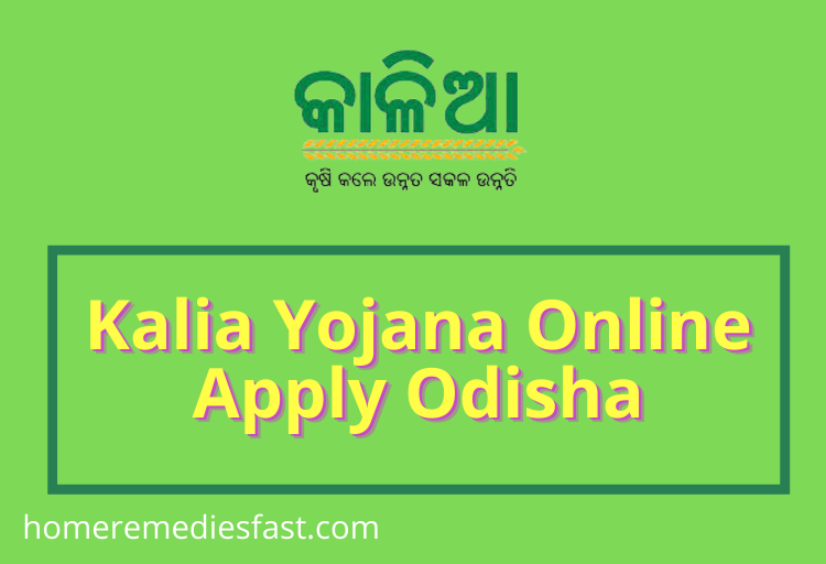 Kalia Yojana Online Apply 2023 Odisha | कलिआ योजना ऑनलाइन आवेदन उड़ीसा Kalia Yojana Online Apply Odisha