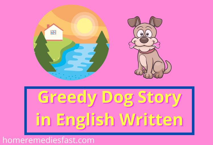 Greedy Dog Story in English Written Short