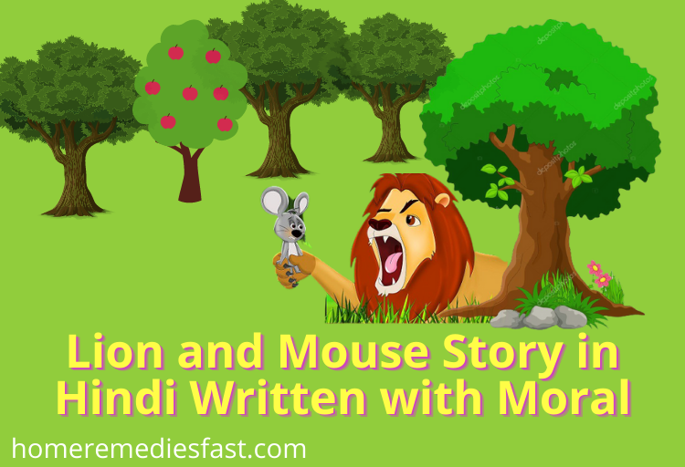  Lion And Mouse Story In Hindi Written 