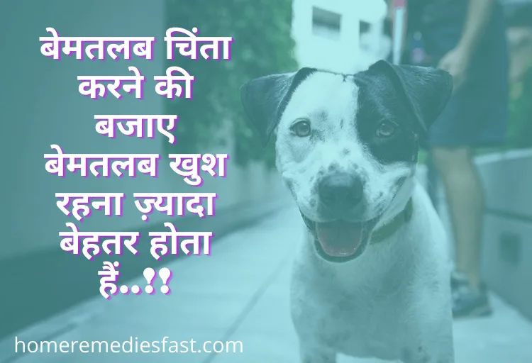 35+ Happy Quotes in Hindi | ख़ुशी के कोट्स हिंदी में Happy Quotes in Hindi