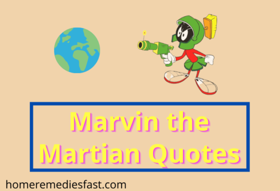 Marvin the Martian Quotes