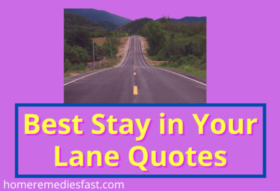 Stay in Your Lane Quotes