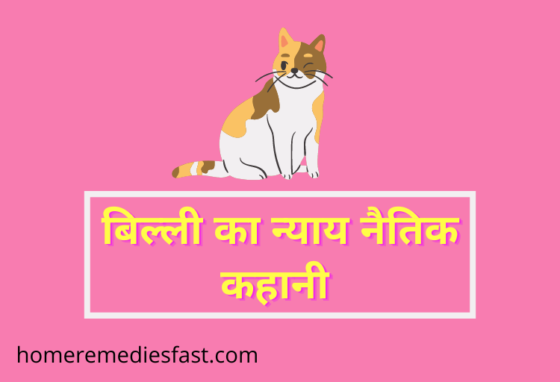 Cat Justice Moral Story in Hindi For Class 3