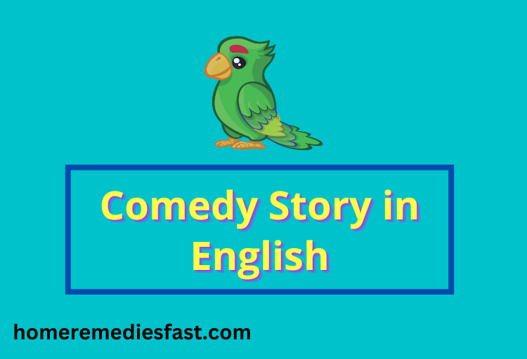 Comedy Story in English