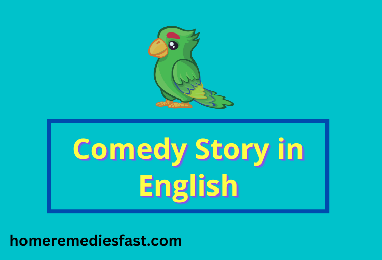 comedy story in english for adults