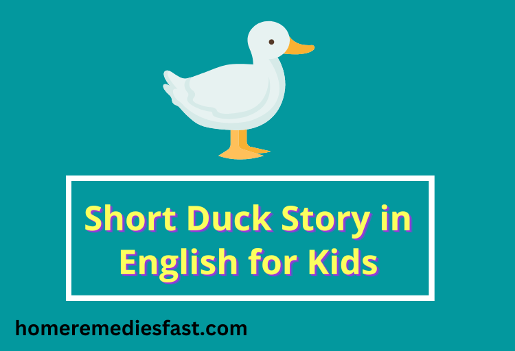 Duck Story in English