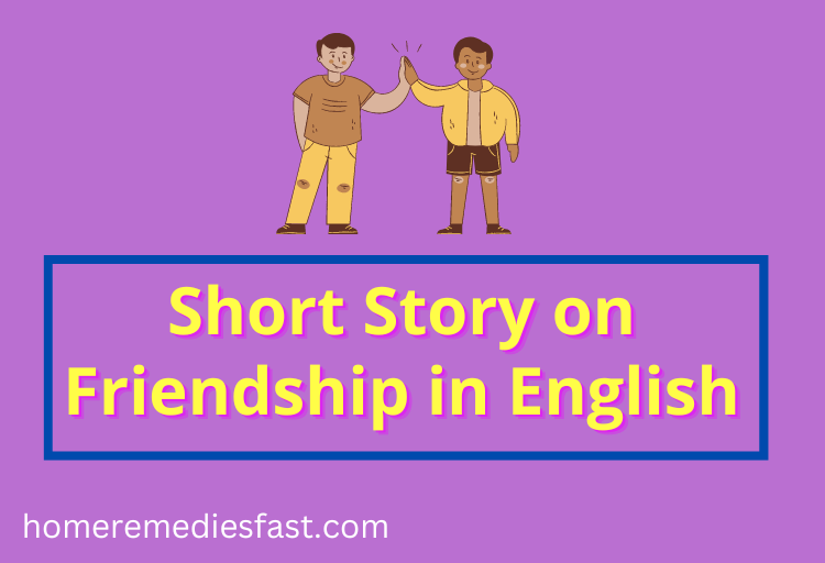 Best Short Story On Friendship In English 2024