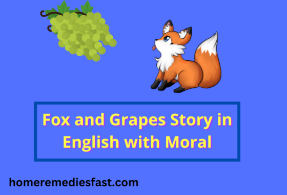Fox and Grapes Story in English