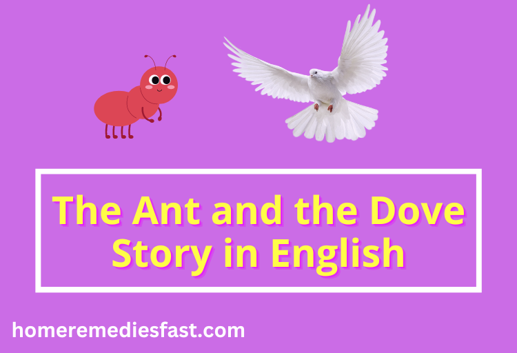 The Ant and the Dove Story in English Written