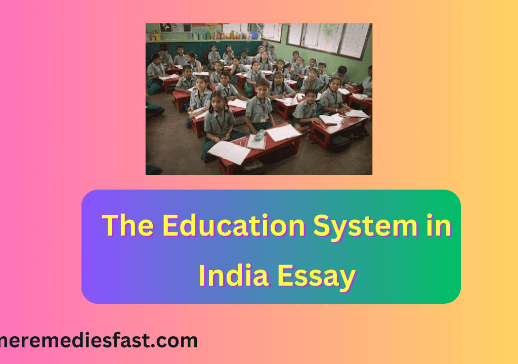 The Education System in India Essay